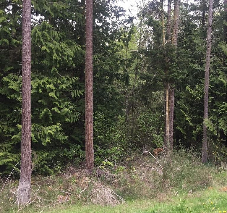 2nd image of 0 Gun Club Road