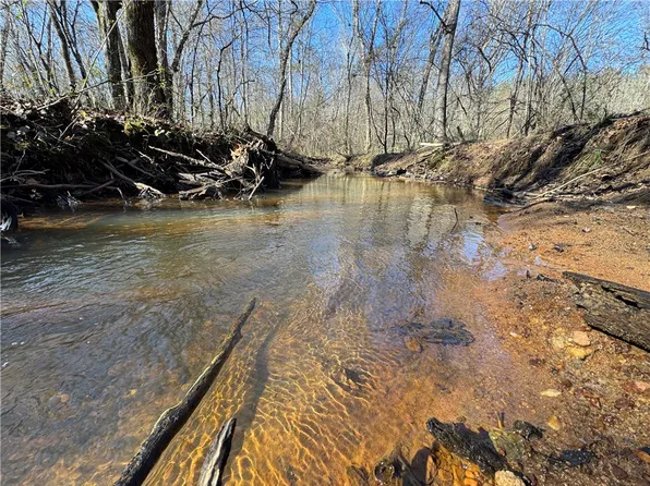 0 County Road 48, Lafayette, AL 36862