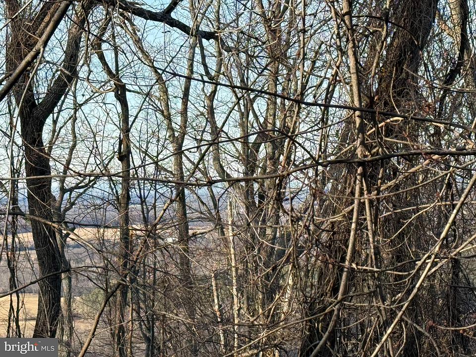 1st image of 92 Donna Ct