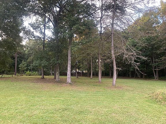 More of the back yard