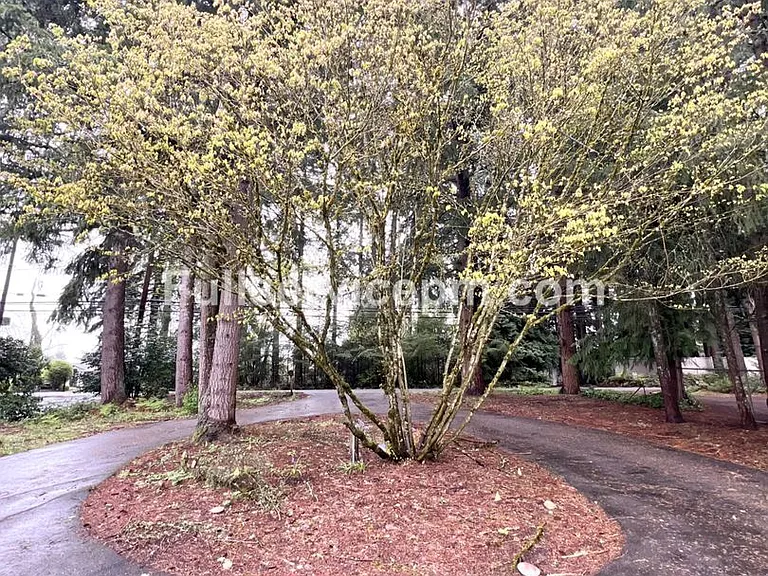 24226 75th Ave SE #A-C — Photo 32