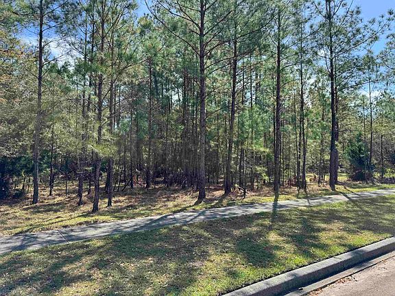 3rd image of 113 Pineberry Dr.