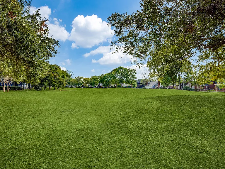 Large, lush green space. Perfect for those with dogs.