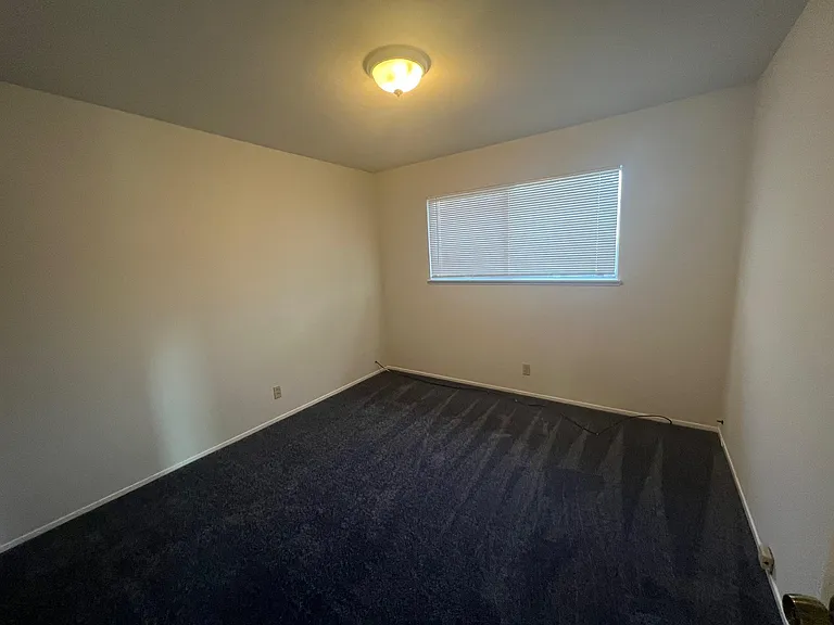 2426 Fern St #D — Photo 10