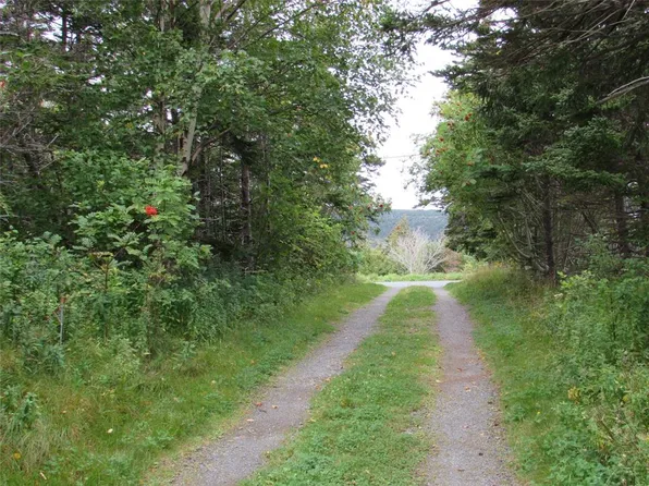 54 C Point Road UNIT C, Chapel's Cove, NL A0A1V0