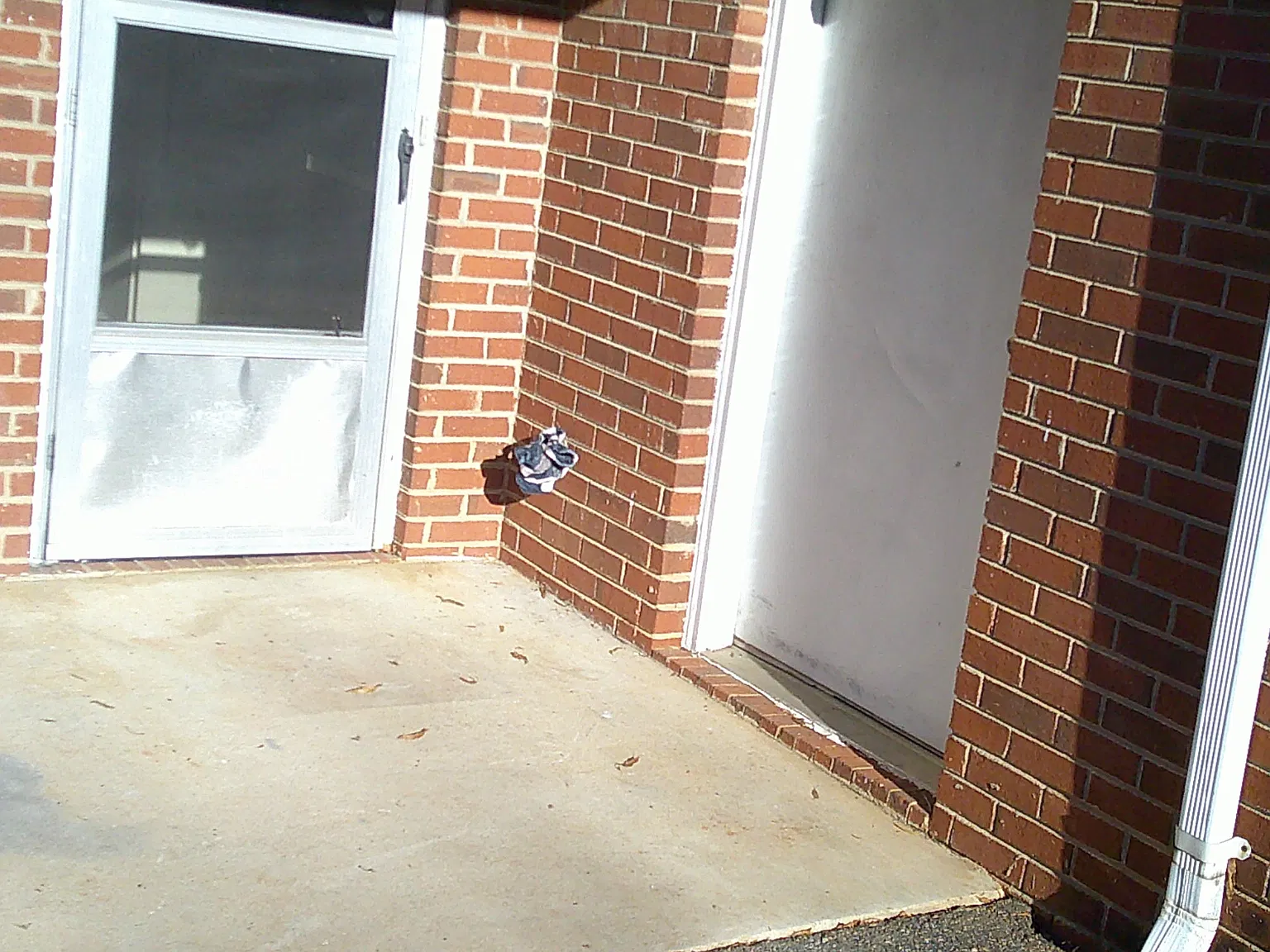 2 bed, 1.5 bath, $1,000 — Photo 2