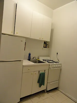 Rented by Manhattan Flats | media 17