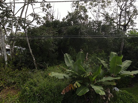 4th image of Moana St Lot 1305