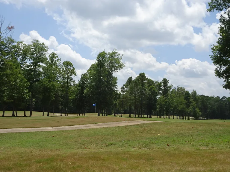 802 Braemar Crk — Photo 17