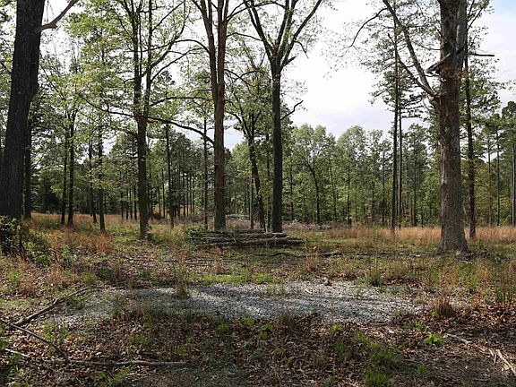 2nd image of 1221 Lena Ln