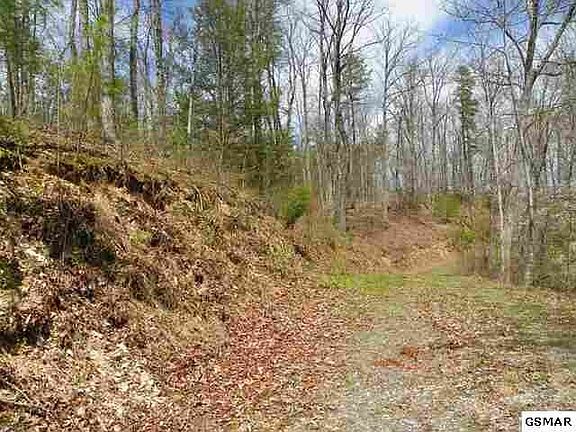 2nd image of 3 Beech Ct Lot 3