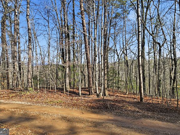 4th image of 0 Winters Mountain Rd