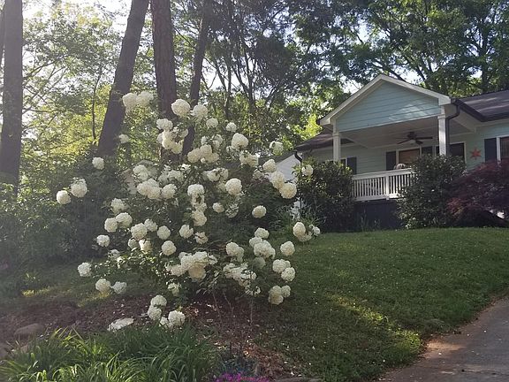 Landscape designed by long-term owner / occupant, so something is always in bloom!
