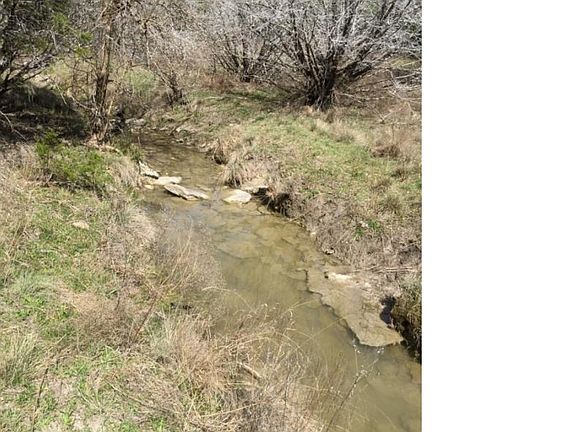 5th image of 146 Tbd County Rd