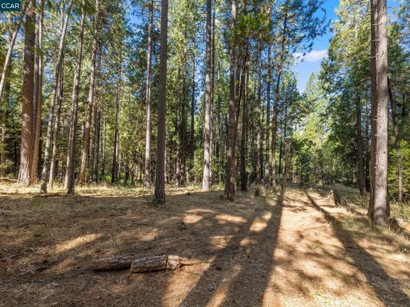 6174 Dog Town Rd, Somerset, CA 95684