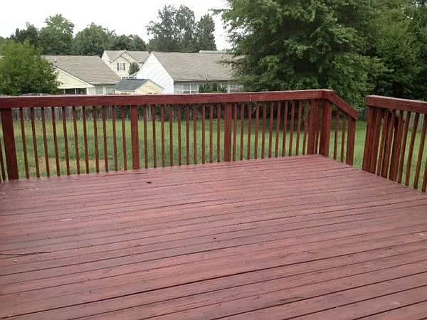 15206 Fern Hollow Ct — Photo 14