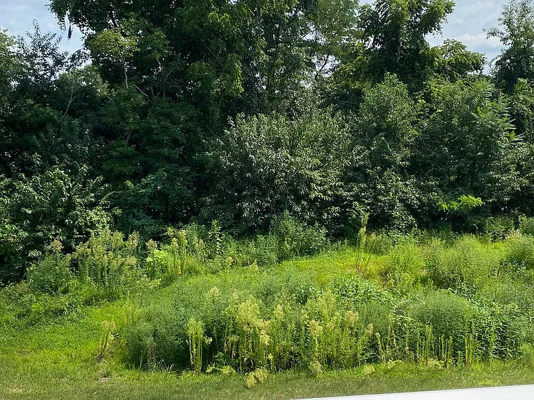 357 Purple Pl #357 — Photo 71