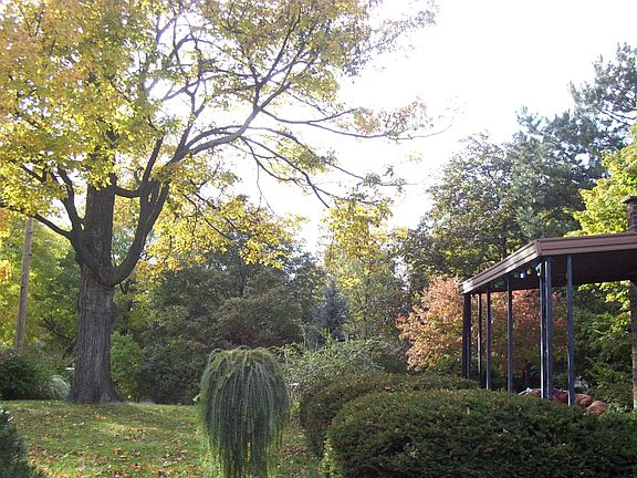 The yard is like your own private park.