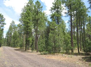 1140 W Manzanita Trl, Lakeside, AZ 85929