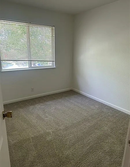 2224 Halsey Cir — Photo 17