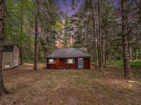8110 Nature Ridge Trl, Vanderbilt, MI 49795