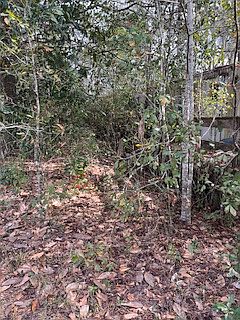 1st image of 50 E Pinhook Rd