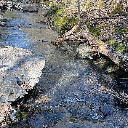 Year round creek 