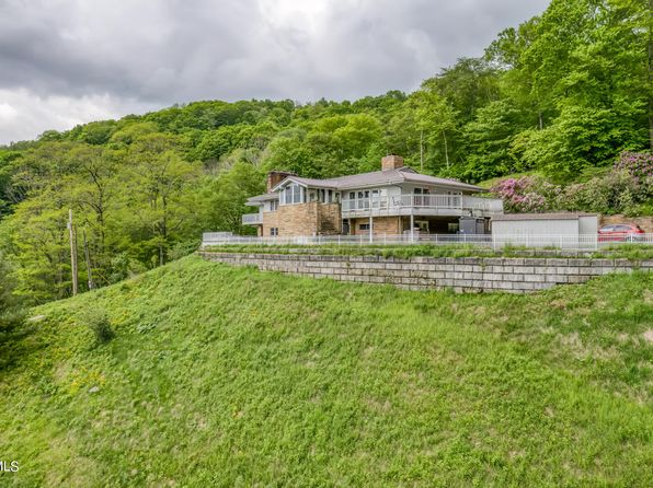 1010 Heaton Creek Rd, Roan Mountain, TN 37687