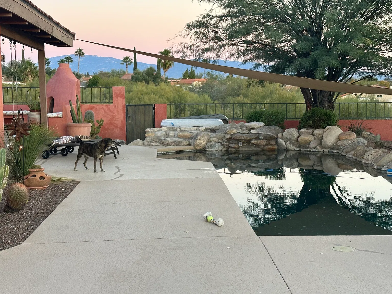 3 bed, 2895 sqft, $4,900 — Photo 2