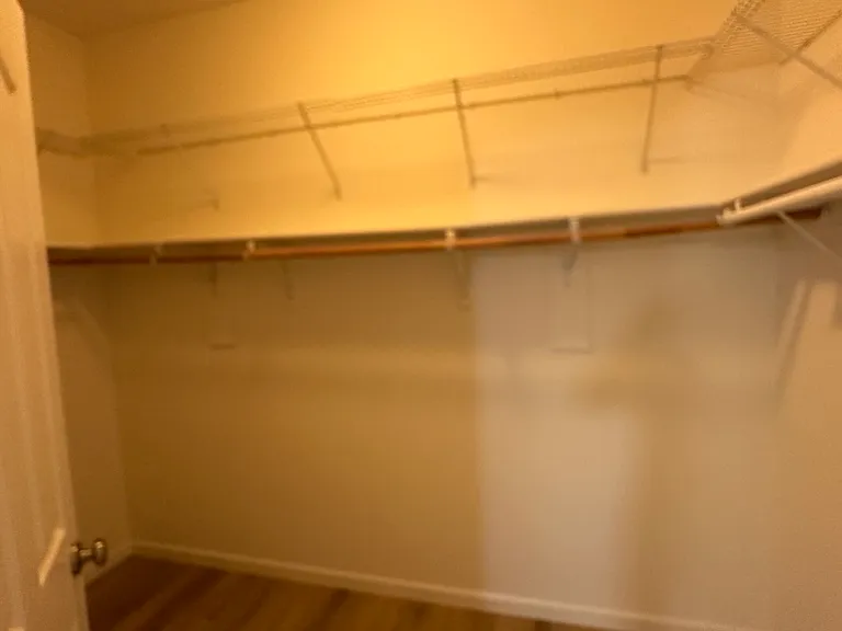 Master Closet