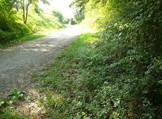 0 Lemmons Branch Airport Hl, Bryson City, NC 28713