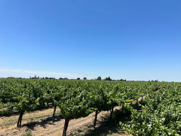 13884 N Locust Tree Rd, Lodi, CA 95240