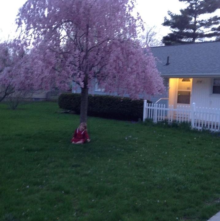 1st image of 2758 Park Dr