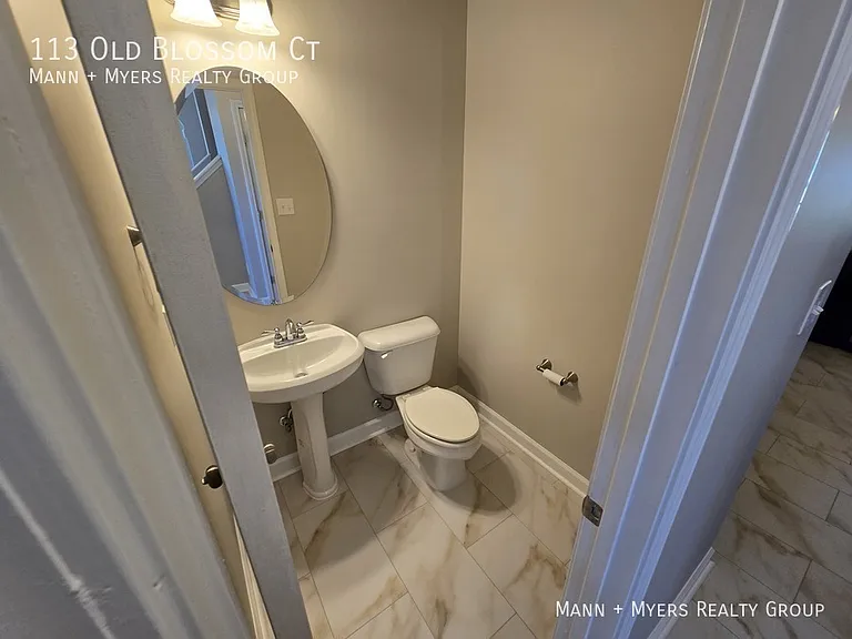 113 Old Blossom Ct — Photo 18