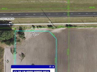 State Route 52, San Antonio, FL 33576