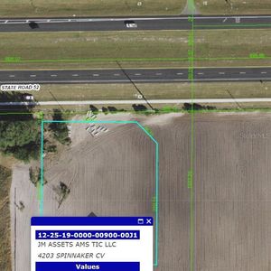 State Route 52, San Antonio, FL, 33576