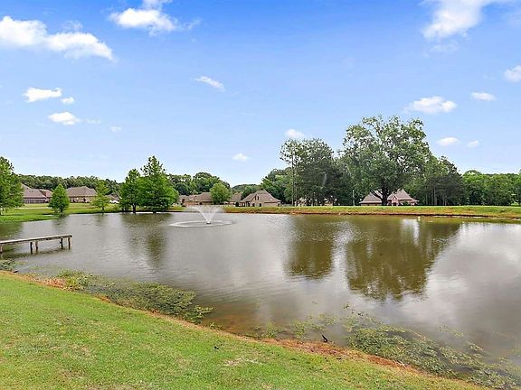 5th image of Asbury Lane Dr #176