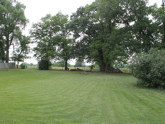 Back yard from back door