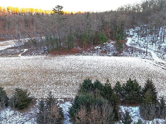 3rd image of 15+/- Acres Blueberry Road