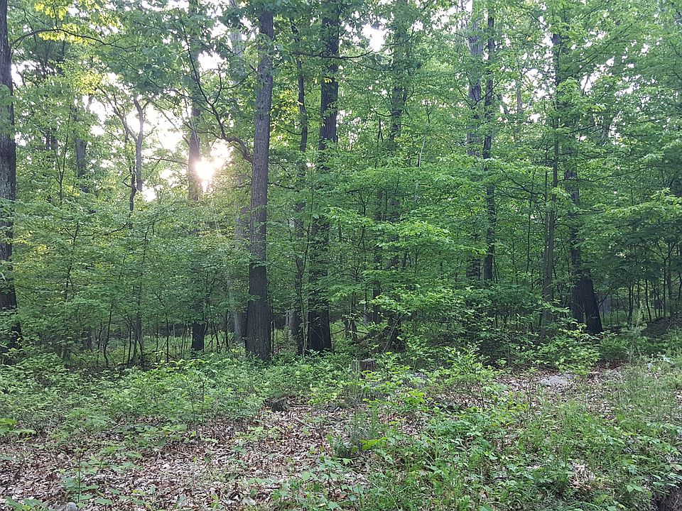 2nd image of Tbd Fork Mountain Rd