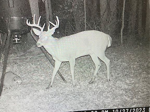 4th image of 22681 Lexington Rd