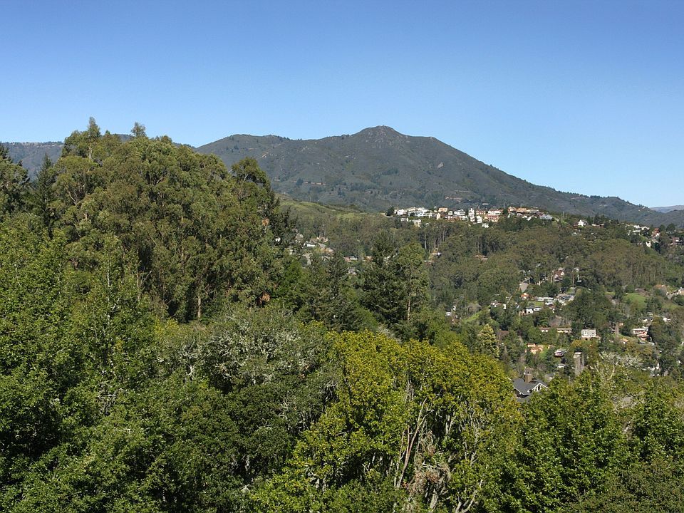 View from all rooms