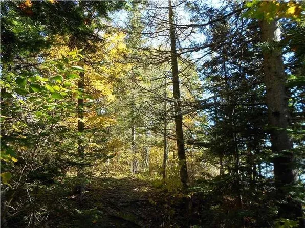 Lot 4&5 Justin Lane, Gouldsboro, ME 04607