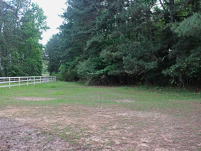 2850 County Road 233D — Photo 32