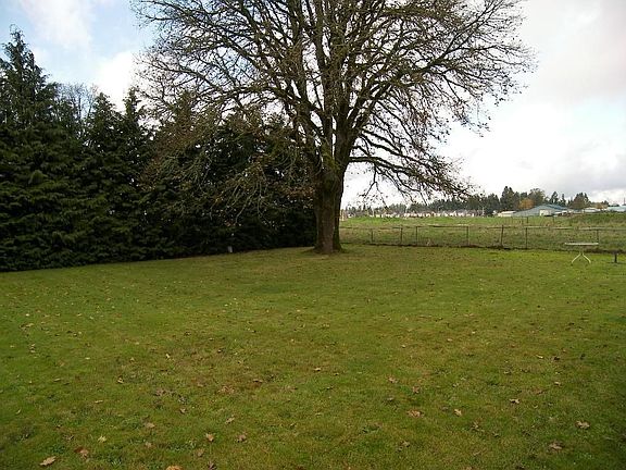 Large Level Yard