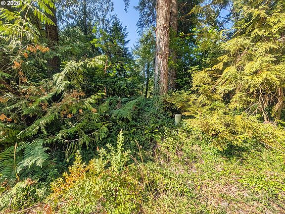 3rd image of 65535 E Sandy River Ln