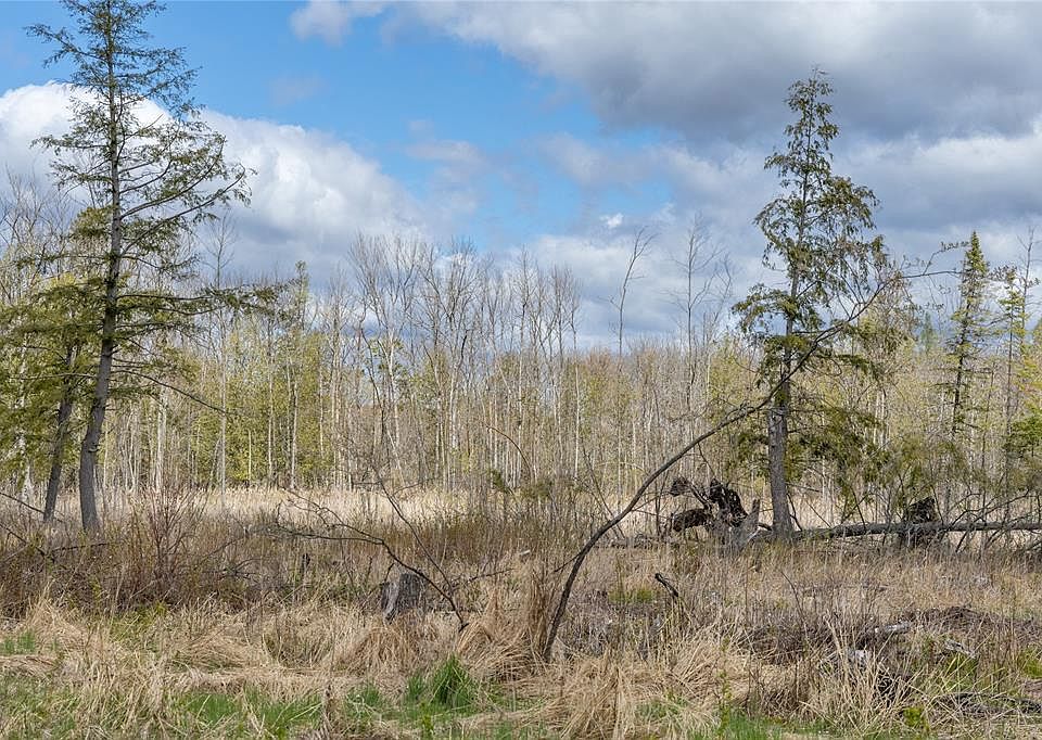 1st image of 40 Acres Anderson & School Road