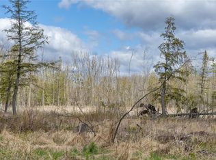 40 Acres Anderson & School Road, Glen Flora, WI 54526