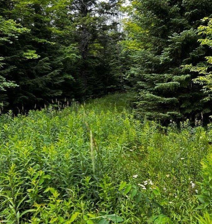 Airport Rd 10AC, Ironwood, MI 49938 Zillow