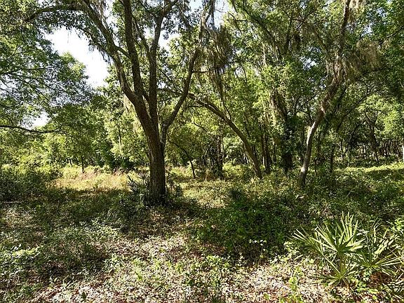 2nd image of 3001 Ponderosa Trl